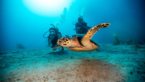 Can you try scuba diving without committing to an Open Water course?