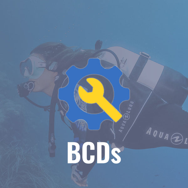 BCD Services