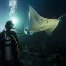 PADI Night Diver