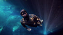 Padi Freediver Course - Basic