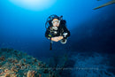 SDI Solo Diver Course