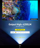 Divepro D40F 4000LM, 26650 power battery, USB charger, Ball mount