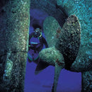 PADI Wreck Diver course