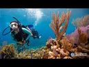 PADI Open Water Diver