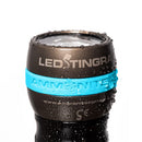 lAmmonite LED Stingray MKII